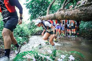 BIB: 
                            <button type="button" onclick="openModal(25466578)" class="btn btn-primary btn-sm float-right btn-popup" data-toggle="modal" data-target=".modal-high-quality">
                        <i class="fas fa-shopping-cart"></i> Add to Cart
                    </button>
                                            <button type="button" onclick="isThisMe(25466578, true)" class="btn btn-success btn-sm float-right btn-popup btn-isme hidden" data-toggle="tooltip" data-placement="bottom" title="นี่คือรูปของคุณใช่ไหม คลิกที่นี่เพื่อเอาเข้าอัลบั้ม">
                        <i class="fas fa-plus"></i> Add to album
                    </button>
                    <button type="button" onclick="isThisMe(25466578, false)" class="btn btn-warning btn-sm float-right btn-popup btn-isnotme hidden">
                        <i class="fas fa-ban"></i> Remove from album
                    </button>